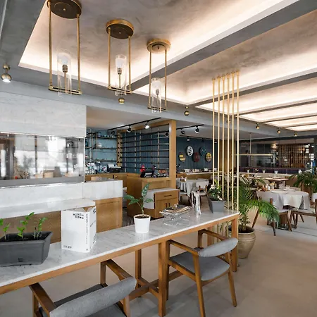 伊斯坦布尔阿塔塞雷迪森公园酒店 酒店 4*