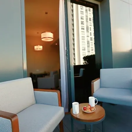 伊斯坦布尔阿塔塞雷迪森公园酒店
